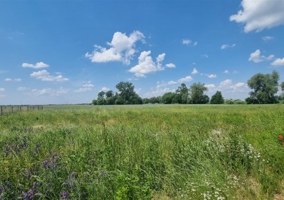 działka na sprzedaż - Radzanowo, Stróżewko