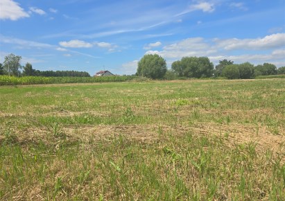 działka na sprzedaż - Gostynin (gw), Jaworek