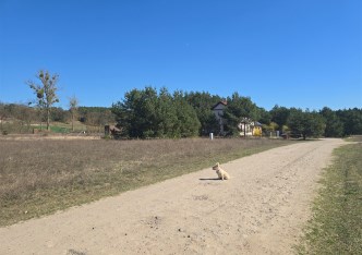 działka na sprzedaż - Płock, Borowiczki-Parcele