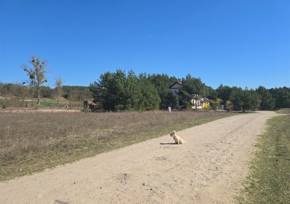 działka na sprzedaż - Płock, Borowiczki-Parcele