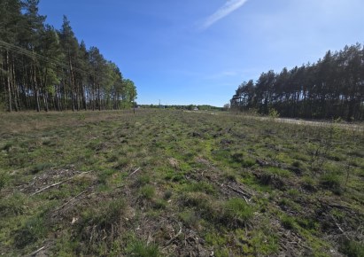 działka na sprzedaż - Słubice, Grzybów