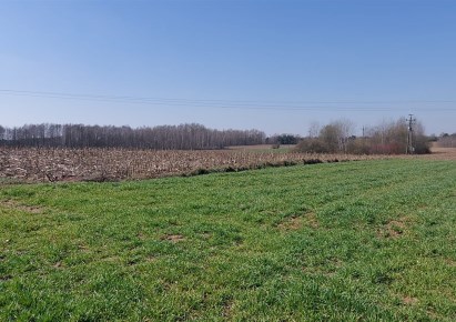działka na sprzedaż - Żuromin