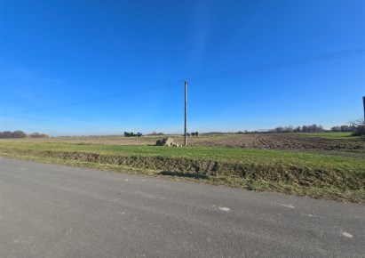działka na sprzedaż - Stara Biała, Kobierniki