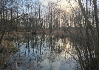 działka na sprzedaż - Gostynin (gw), Strzałki