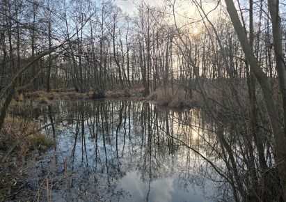 działka na sprzedaż - Gostynin (gw), Strzałki